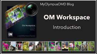 OM Workspace introduction