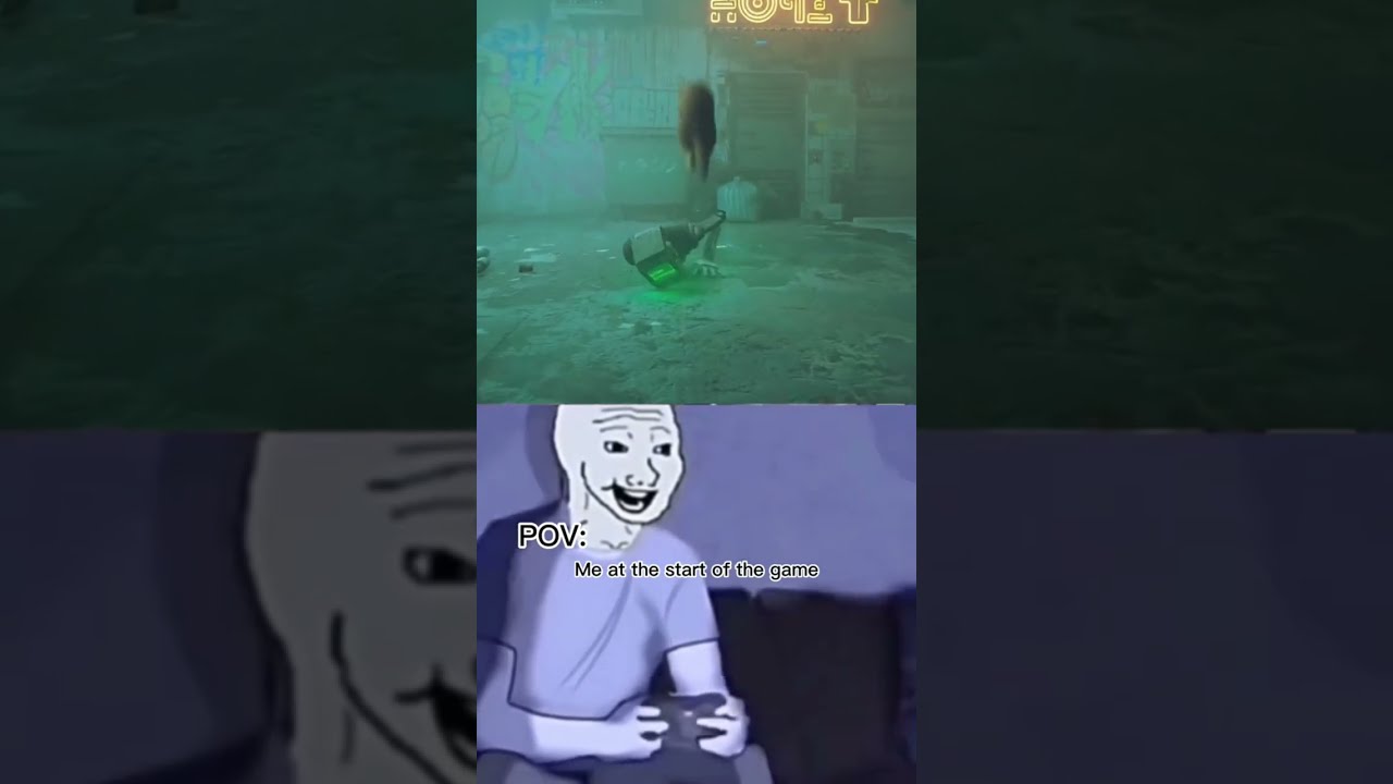 Stray Its Just A Game Shorts Sad Painhub