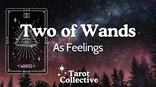 Two Of Wands As Feelings Tarot Card Meaning - Learn Tarot in 5 Minutes