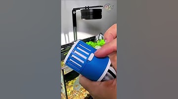 Aquarium wave maker that mimics natural water currents for fish #aquatic #youtubeshorts