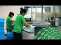 Мегазаводы Китая  - JLCPCB. Производство печатных плат.
