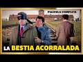 LA BESTIA ACORRALADA Drama de la vida real Película completa en HD