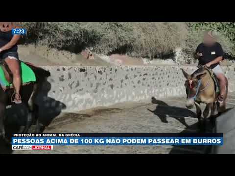 Vídeo: Turistas Com Mais De 60 Quilos Não Podem Mais Andar De Burro Em Santorini