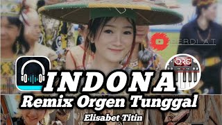 INDONA || REMIX ORGEN TUNGGAL || DAYAK KALBAR ||  Elisabet Titin || By Perdi AT || ORG 2024 VIP ||