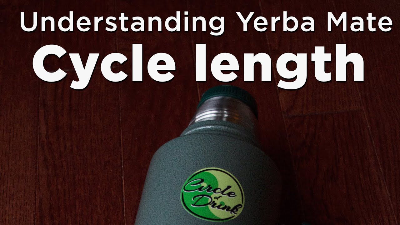 Understanding Yerba Mate Cycle Lengths