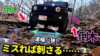 初の林道、落石と倒木で超ハード【ウナ丼 ジムニー シエラ 意味ねぇVlog】