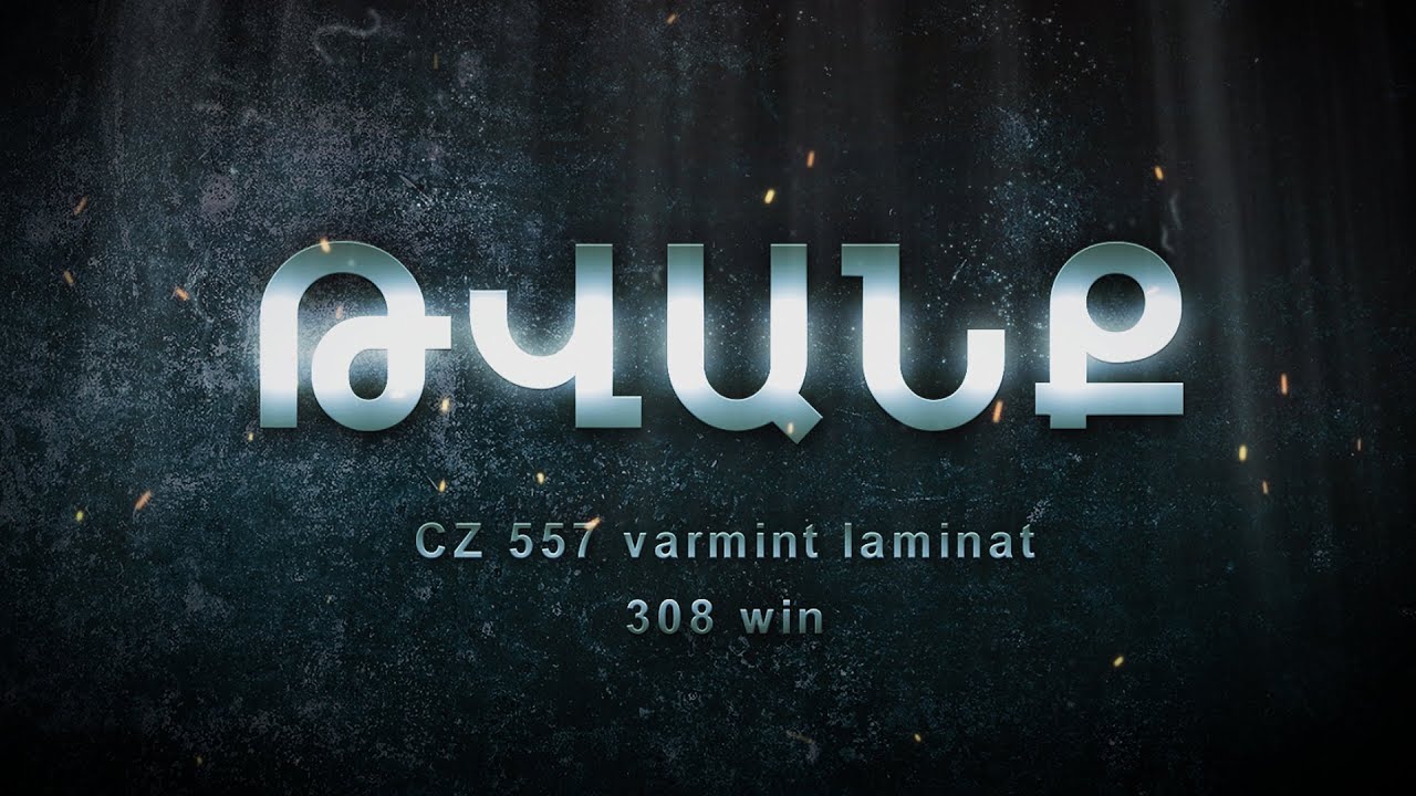 Թվանք - Հաղորդում #3 CZ 557 varmint laminat 308