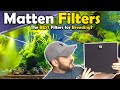 Why Most BREEDERS Choose this FILTER for their AQUARIUM - Matten Filters