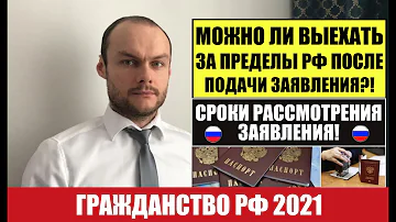 Можно ли выехать за границу после подачи документов на гражданство РФ