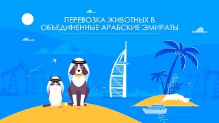 Перевозка животных в ОАЭ