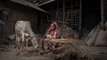 REBELS - Teaser ENG - a documentary by @Ant°dea