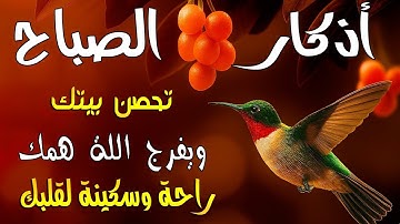 اذكار الصباح يوم الجمعة للتحصين من الحسد والشيطان ✨  يريح قلبك راحه نفسيه💚  علاء عقل Morning adhkar