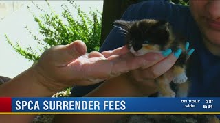 Spca Now Charging Fee For Surrendering Animals