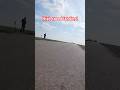 High speed landing! #fpvplane #fpv #fixedwing