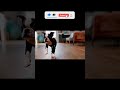 I Let My Boston Terrier Puppy Run Wild and This Happened!