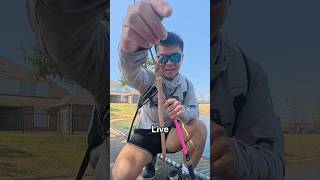 How To Catch A Bass (EASY)