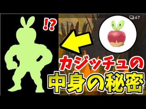 禁忌 Newポケモンスナップで明かされる カジッチュの中身を徹底捜索 実はすごぉい Youtube