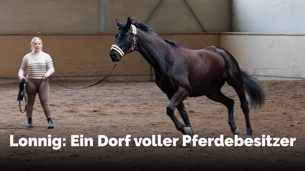 Ein Dorf voller Pferde: In Lonnig leben Familien mit ihren Tieren zusammen