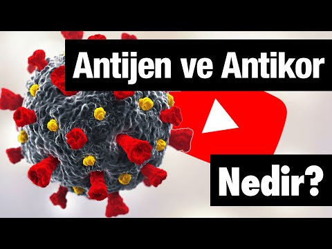 Video: Darktrace Antigena nedir?