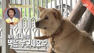 백년손님-자기야 20130919 #8(10)