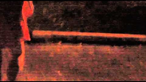 Nightmare Forest Promo