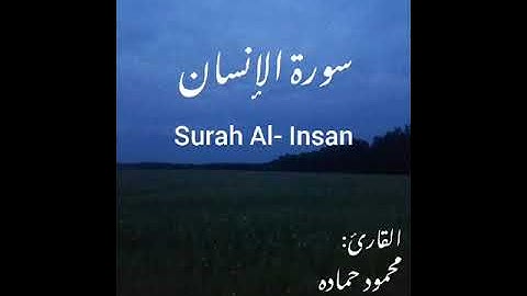 سورة القيامه بصوت القارئ محمود حماده