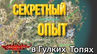 Divinity Original Sin 2: DE - Секретный опыт в Гулких Топях, который можно прозевать при прохождении