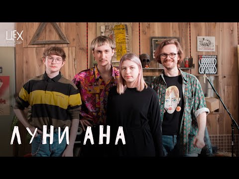 луни ана: Цех live