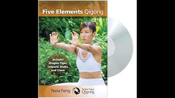 Five Elements Qigong YMAA DVD preview