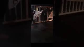 Fenerbahçe Taraftarından Tesislerde Ali Koça Tepki