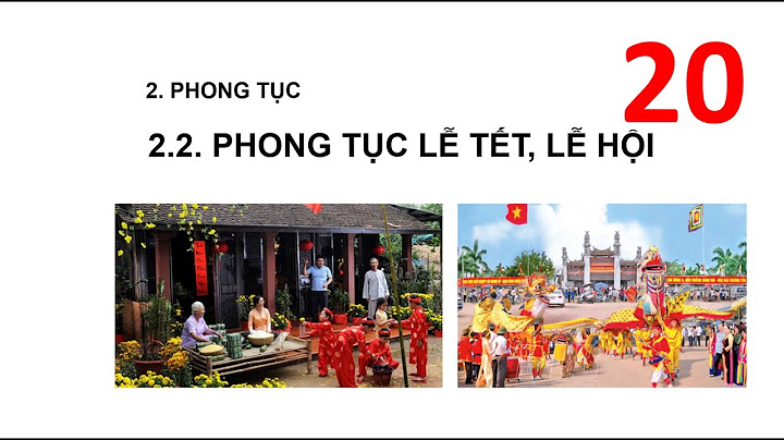 Sách cơ sở văn hóa việt nam trần quốc vượng năm 2024