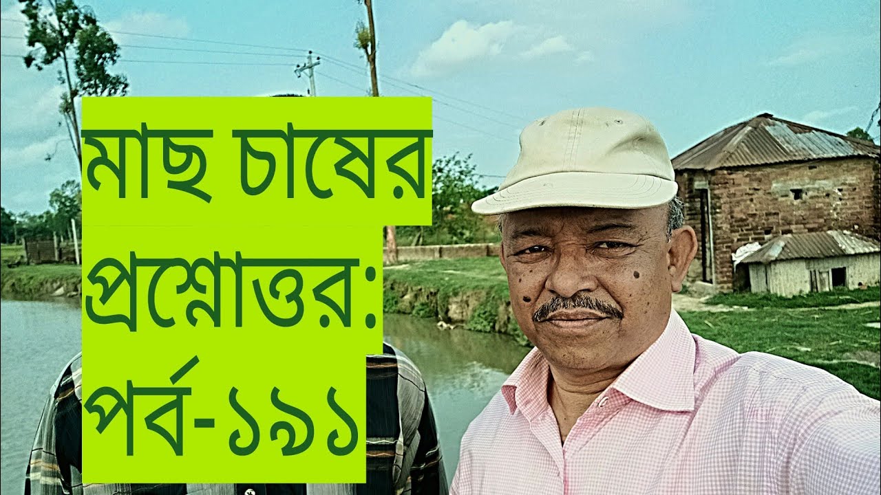 Question and answer on fish culture। Part 191। মাছ চাষের প্রশ্নোত্তর