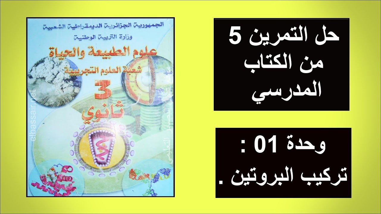 • تمرين 8 تركيب البروتين [ من الكتاب المدرسي 📗 ] .