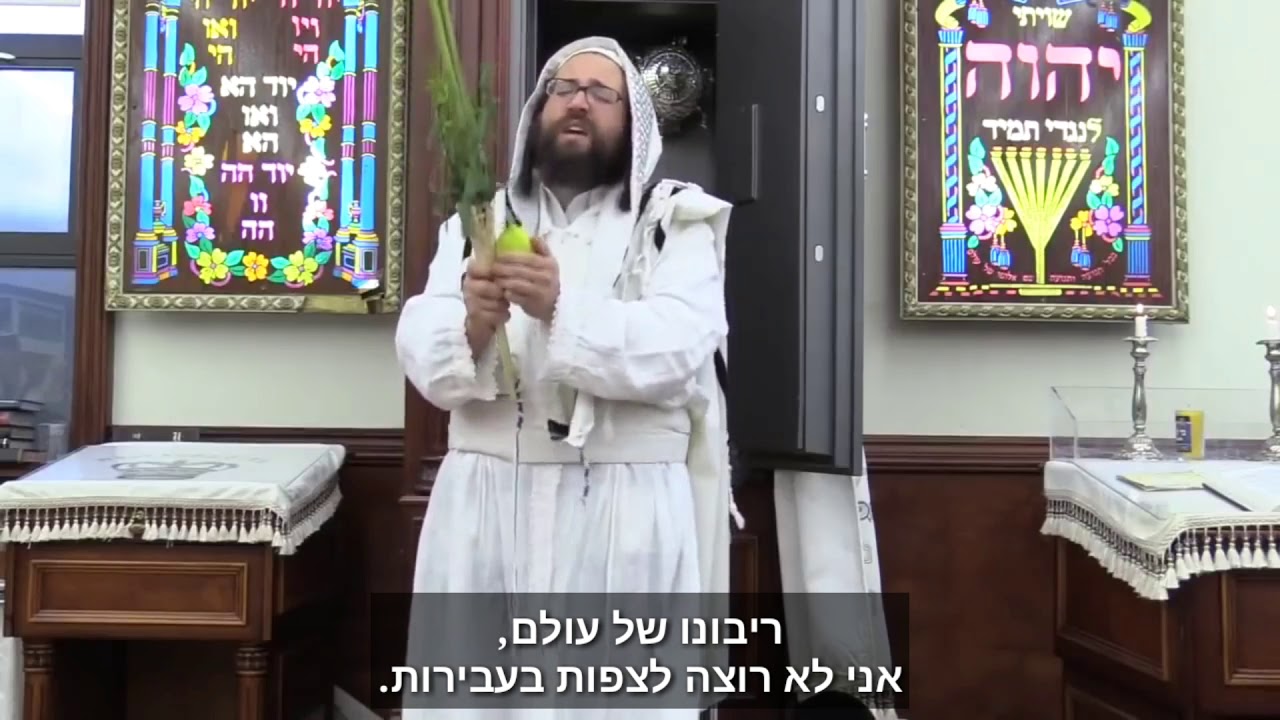 הושענא רבה חלק ב' | הרב יואל ראטה שליט"א