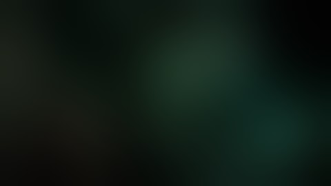 Youtube Poop - (Bioshock) FISHFISHFISHFISH