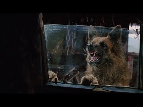 Vídeo: A Hora Entre O Lobo E O Cachorro - Visão Alternativa