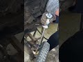 High performance Rust bearing Removal hammer ⚒️ drill Tools Agricultural machinery #shortsfeed