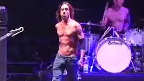 Iggy Pop & The Trolls @ Alive Festival 2001