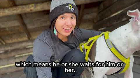 Baabii' = S/he waits for h/ (Ojibwe Word of the Day)