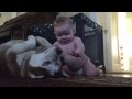 Baby and dog show love for one another