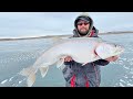 WE ARE BACK IN MONTANA!! | Smashing Big Lake Trout On Fort Peck