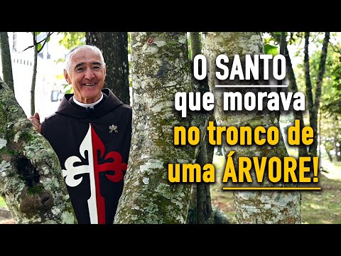 São Simão Stock, o santo do escapulário. I Padre Ricardo Basso (Caminhando com os Santos)