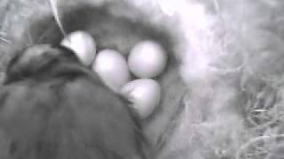 20100616_081420_Tag1_05