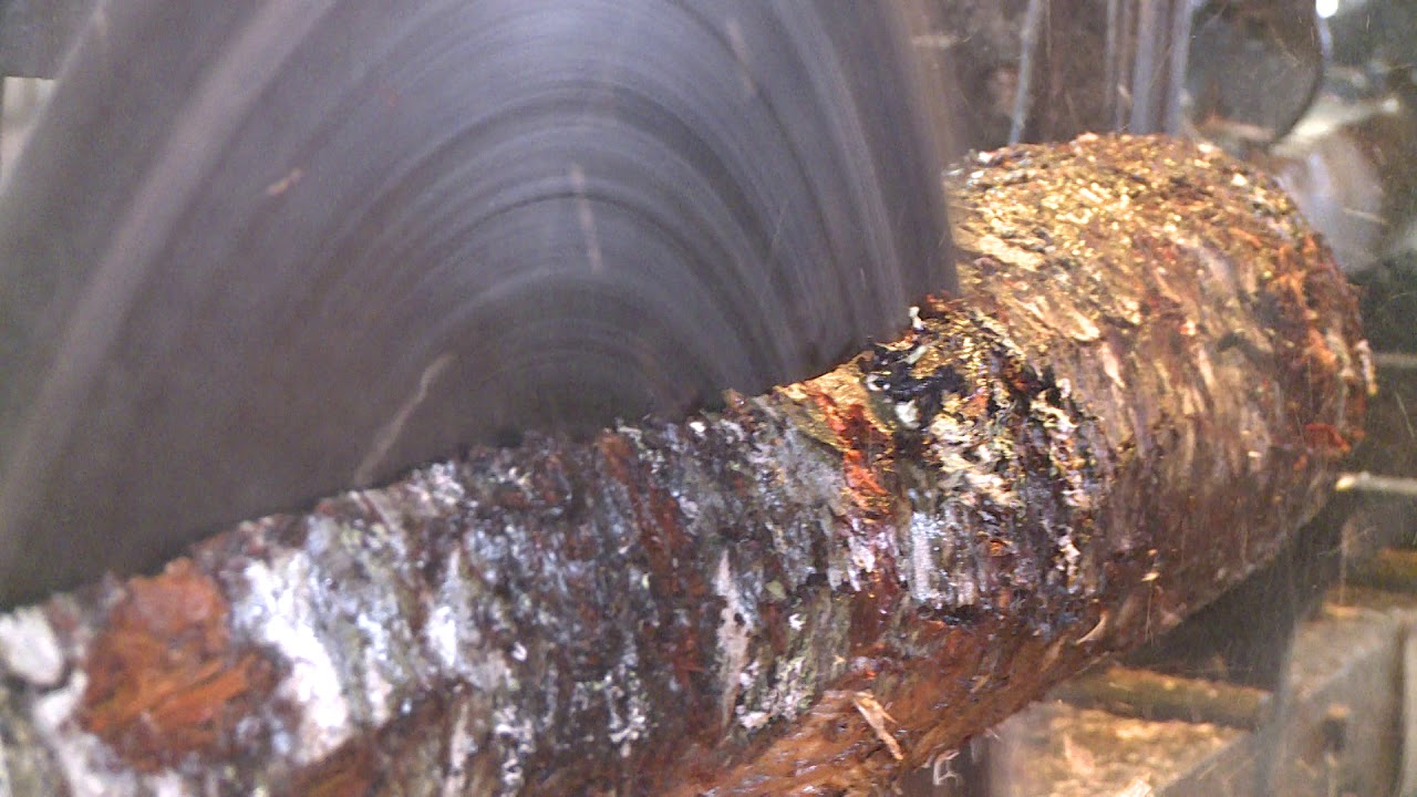 Water mill in Lunenburg County, NS