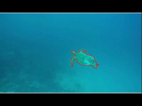 Object Segmentation and Tracking