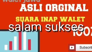 suara inap burung walet cepet sukses