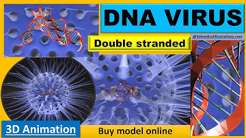 Virus animated with DNA detailed https://medical3dmodels.com