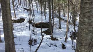 Winter walk part 1