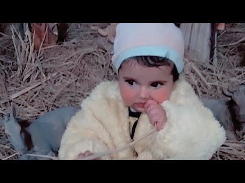 بص الشقاوه اعمل فيها ايه ما اعرفش المكان ده عاجبها في ايه شقاوه لولى