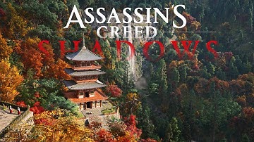 The Beauty of Assassin